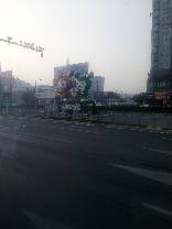 IMG_20191019_064854_125.jpg.JPG