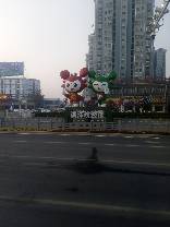IMG_20191019_064905_772.jpg.JPG