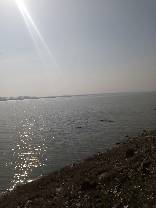 IMG_20200317_092442_120.jpg.JPG